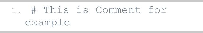 Python Comments Example
