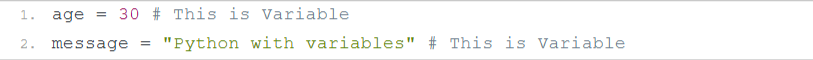 Python Variables Example